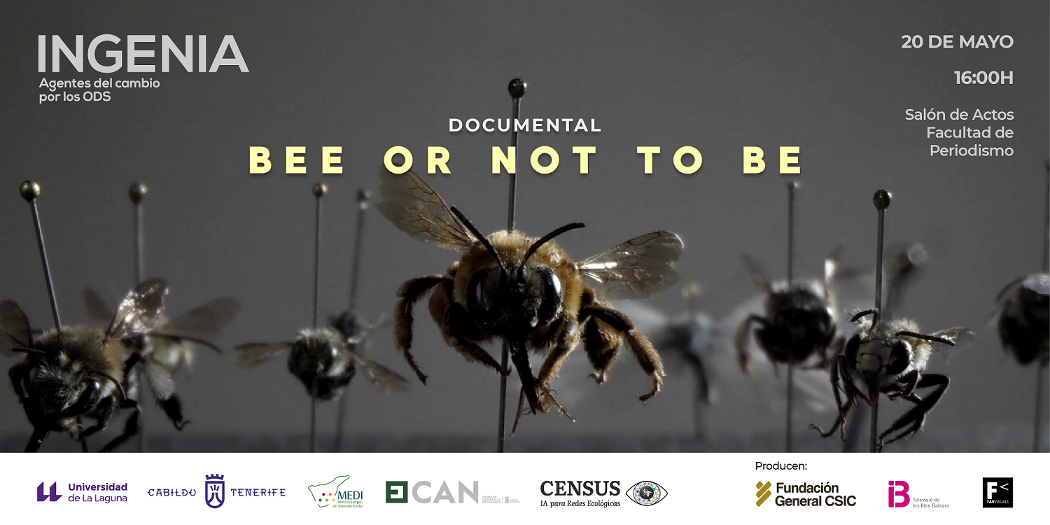 Abejas en crisis (Documental) 1 abejas en crisis documental