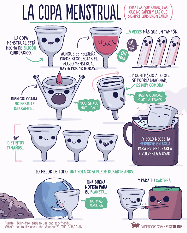 ¿Cómo la copa menstrual es una gran ayuda al medioambiente? 1 como la copa menstrual es una gran ayuda al medioambiente