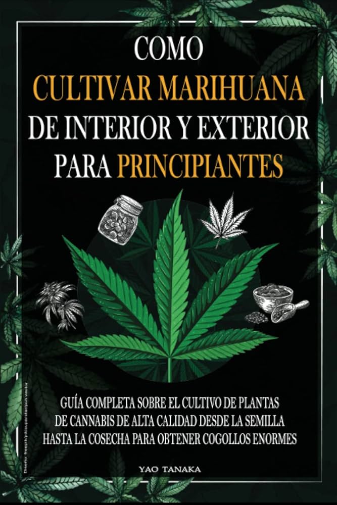 Consejos para cultivar marihuana en interior 1 consejos para cultivar marihuana en interior