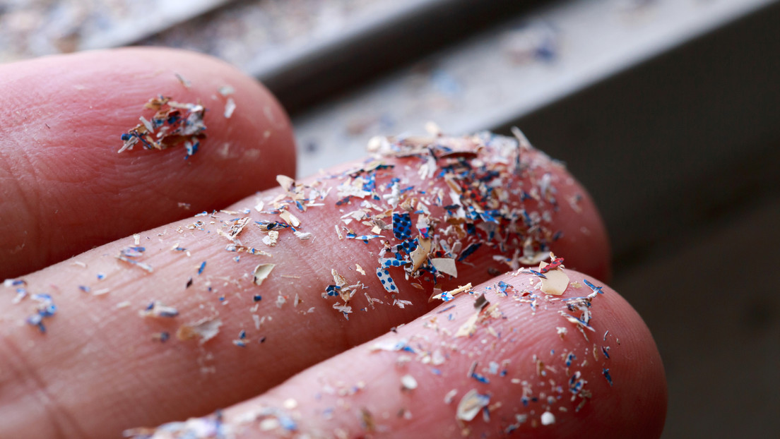 Encuentran microplásticos en la sangre humana por primera vez 1 encuentran microplasticos en la sangre humana por primera vez