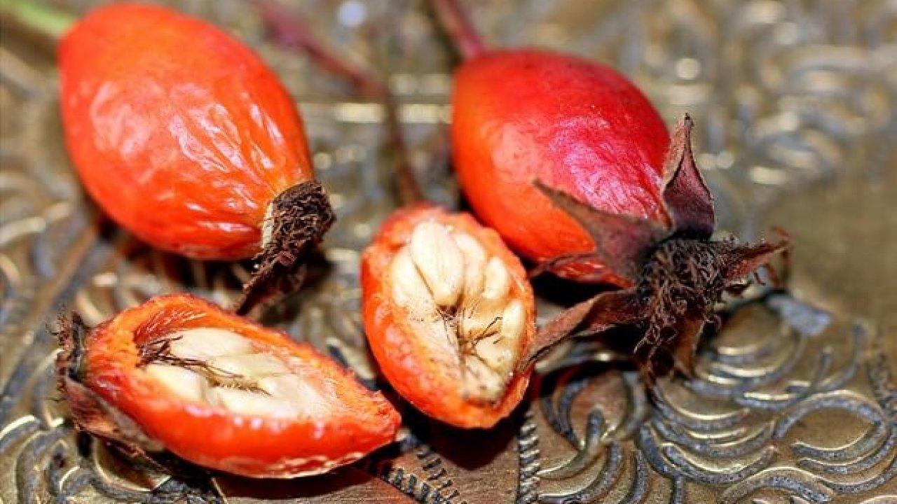 Escaramujo Propiedades de esta enorme fuente de vitamina C 1 escaramujo propiedades de esta enorme fuente de vitamina c