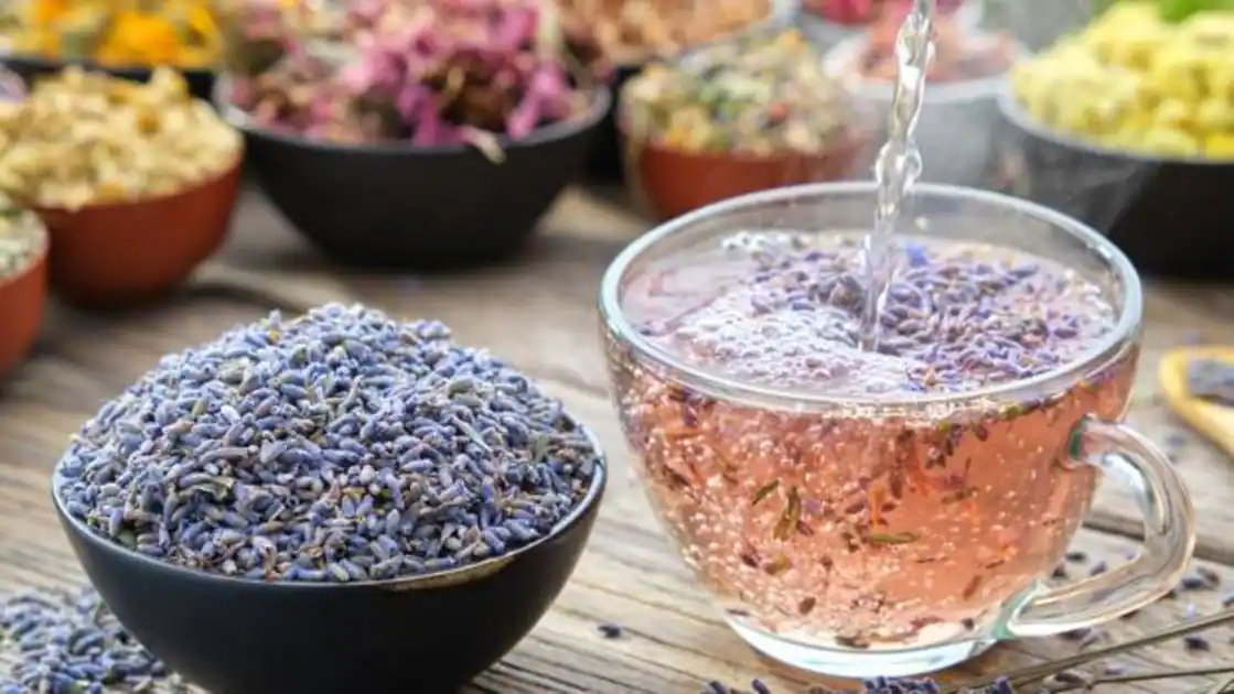 Infusiones para dormir y remedios naturales para el insomnio 1 infusiones para dormir y remedios naturales para el insomnio