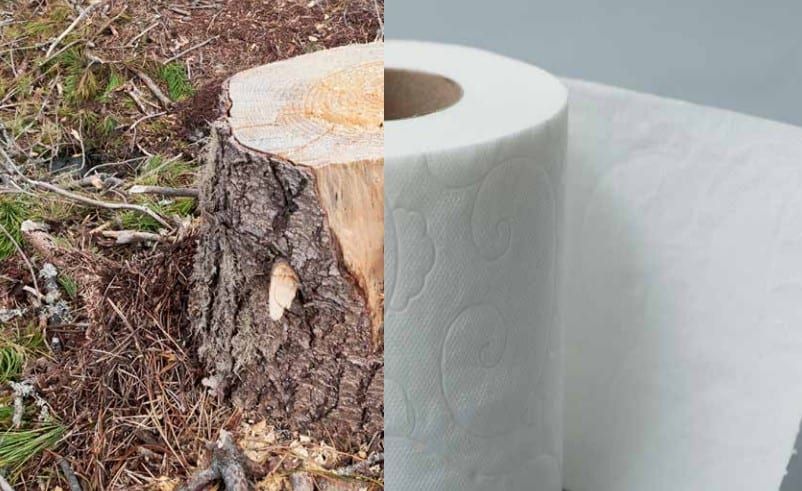 Papel higiénico contamina más que un SUV 1 papel higienico contamina mas que un suv
