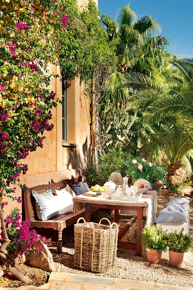 Plantas tropicales para alegrar tu jardín en verano 1 plantas tropicales para alegrar tu jardin en verano