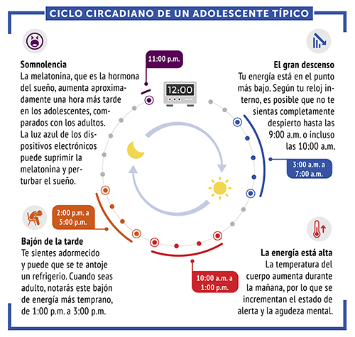 Ritmo circadiano: qué es y cómo afecta al sueño 1 ritmo circadiano que es y como afecta al sueno